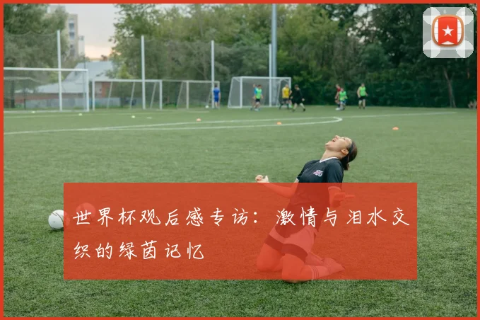 世界杯观后感专访：激情与泪水交织的绿茵记忆
