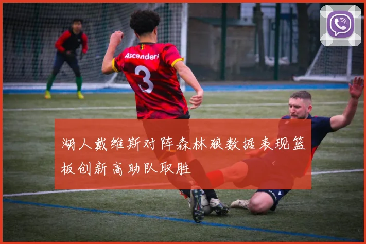 湖人戴维斯对阵森林狼数据表现篮板创新高助队取胜