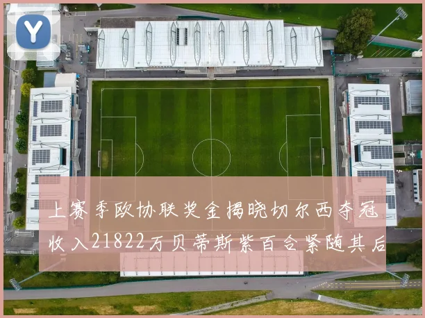上赛季欧协联奖金揭晓切尔西夺冠收入21822万贝蒂斯紫百合紧随其后