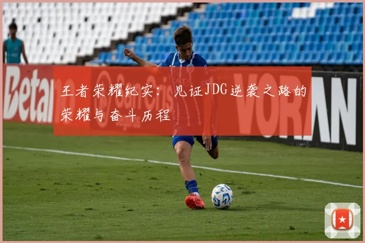 王者荣耀纪实：见证JDG逆袭之路的荣耀与奋斗历程