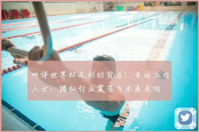叫停世界杯足彩的背后:专访业内人士,揭秘行业震荡与未来走向