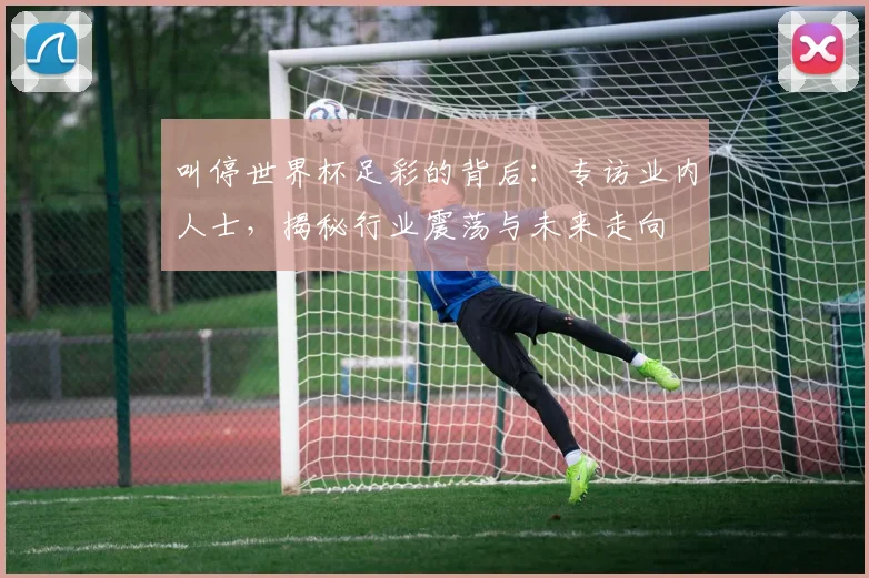 叫停世界杯足彩的背后:专访业内人士,揭秘行业震荡与未来走向