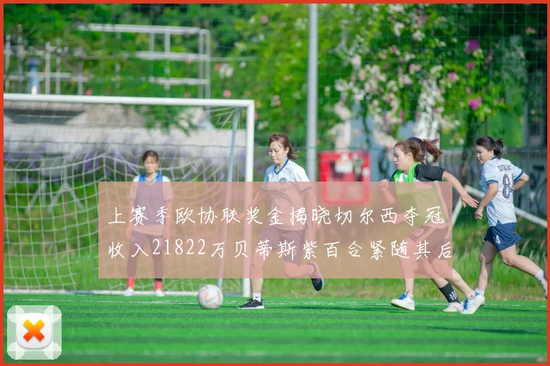 上赛季欧协联奖金揭晓切尔西夺冠收入21822万贝蒂斯紫百合紧随其后