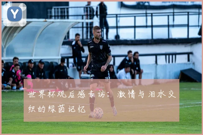 世界杯观后感专访:激情与泪水交织的绿茵记忆