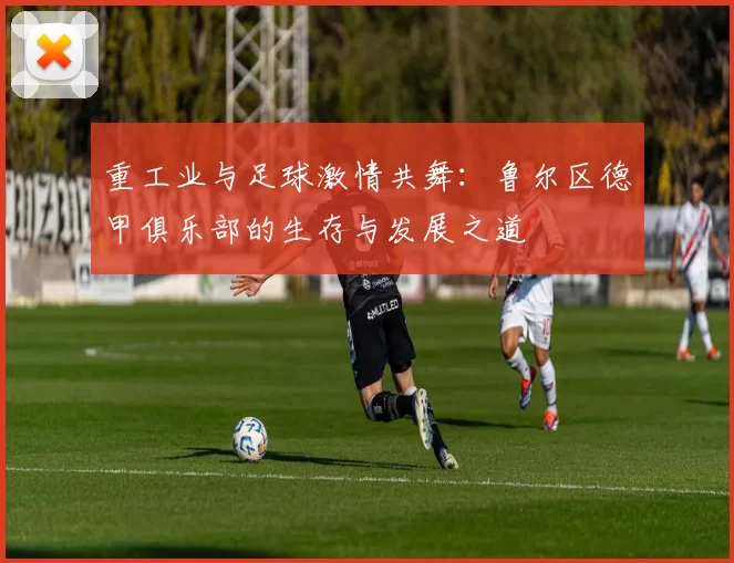 重工业与足球激情共舞：鲁尔区德甲俱乐部的生存与发展之道