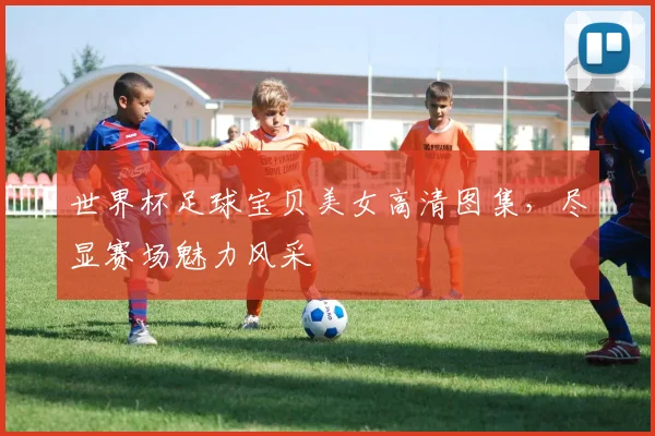 世界杯足球宝贝美女高清图集,尽显赛场魅力风采