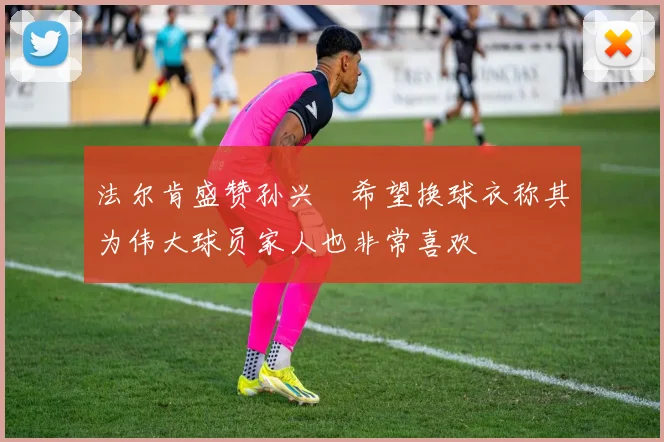 法尔肯盛赞孙兴慜希望换球衣称其为伟大球员家人也非常喜欢
