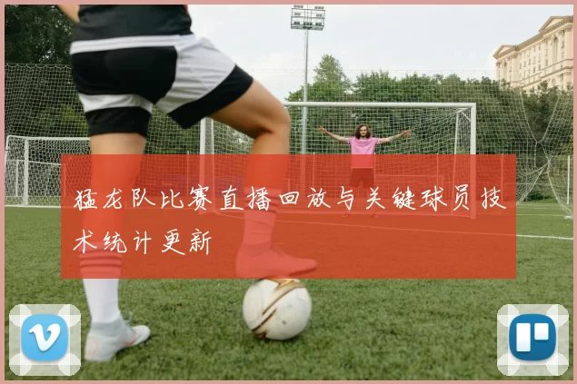 猛龙队比赛直播回放与关键球员技术统计更新
