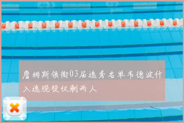 詹姆斯领衔03届选秀名单韦德波什入选现役仅剩两人