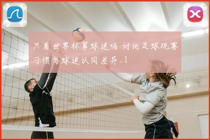 只看世界杯算球迷吗 讨论足球观赛习惯与球迷认同差异_1