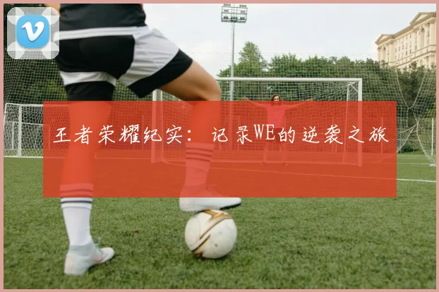 王者荣耀纪实：记录WE的逆袭之旅