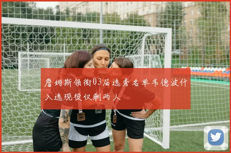 詹姆斯领衔03届选秀名单韦德波什入选现役仅剩两人