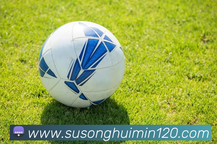 华体会体育平台生态图